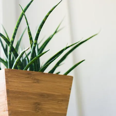 Aparthotel Keller 3*